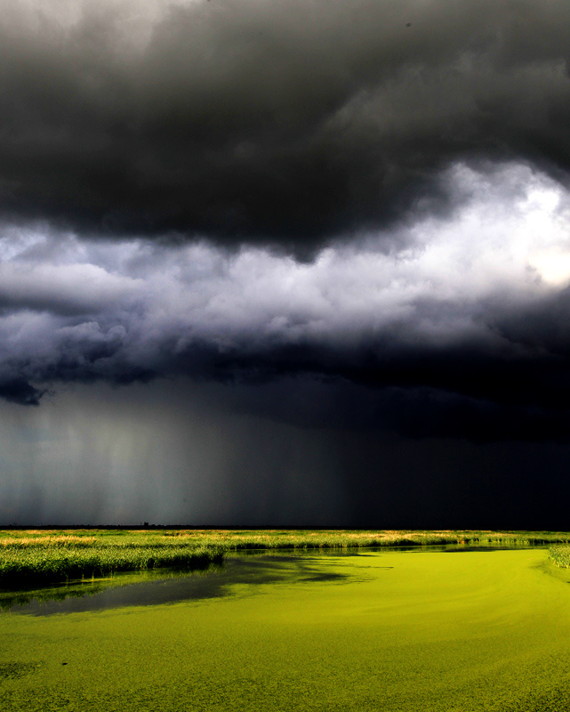 农村打的水井刚开始为什么是浑水,老水井能打出水吗