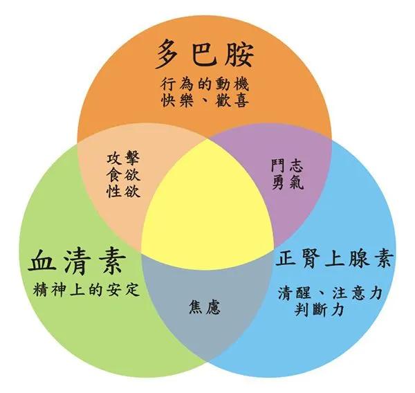 何去何从？中国人的“心病”要怎么治