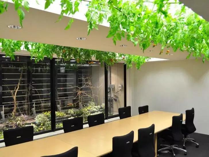 深圳市有梦想城市,深圳有梦想的城市