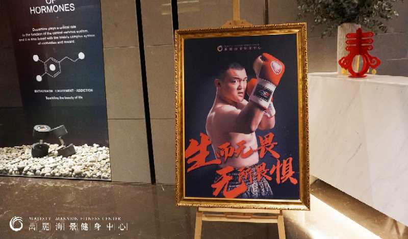 泰森张君龙直播,中国泰森张君龙最新一场比赛