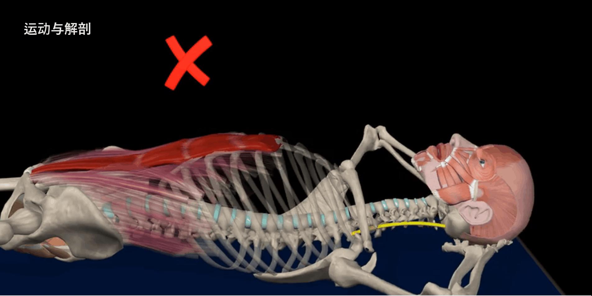 给大家示范一下练腹肌最好办法,又快又有效又简单的腹肌怎么练