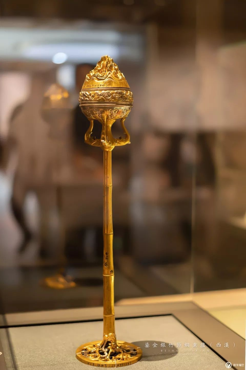 一起去博物馆发现古老的神器,陕西历史博物馆游览全攻略