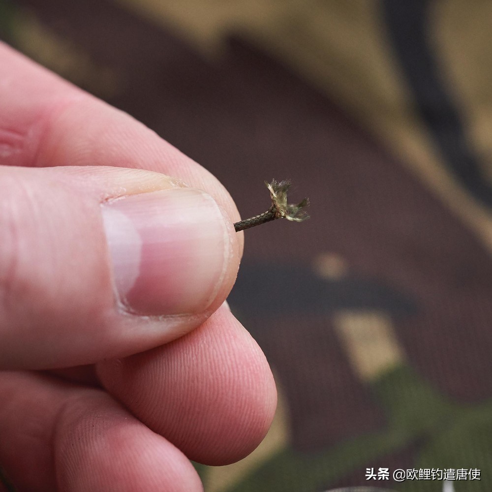 铅坠会吓鱼吗,铅坠晃动真能惊吓鱼儿吗