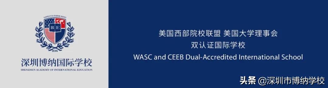 深圳南山这所宝藏国际学校,带你去打卡