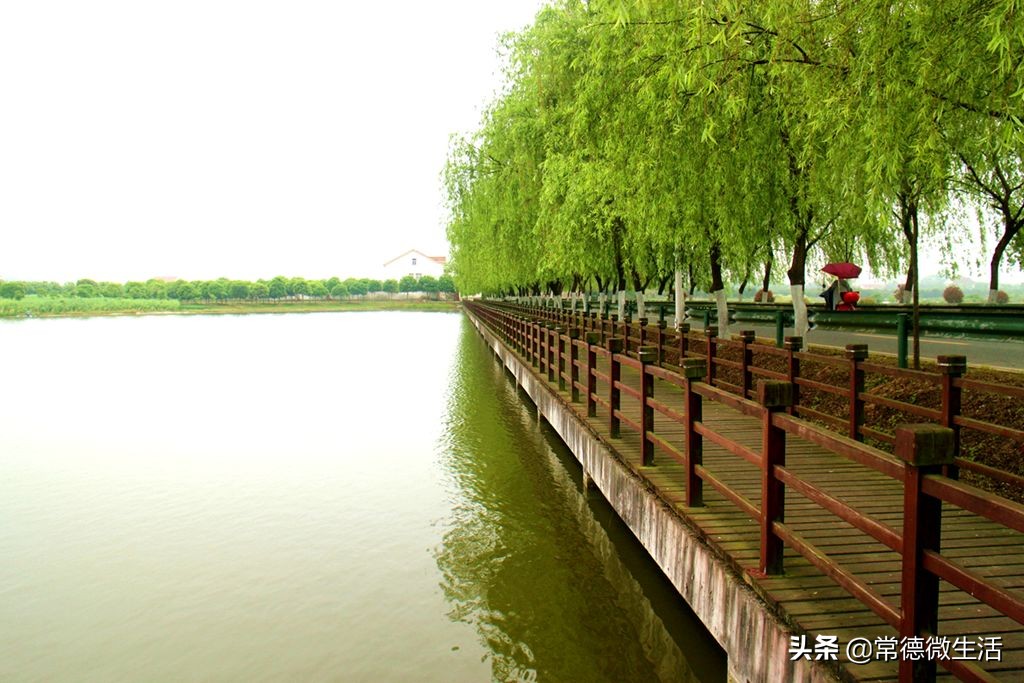 常德丹洲大草原介绍,丹洲草原风景