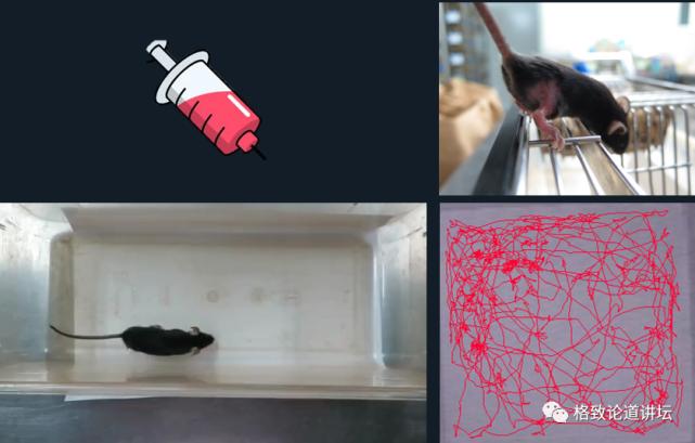 未来医疗器官可再生,再生医学给我们带来的健康