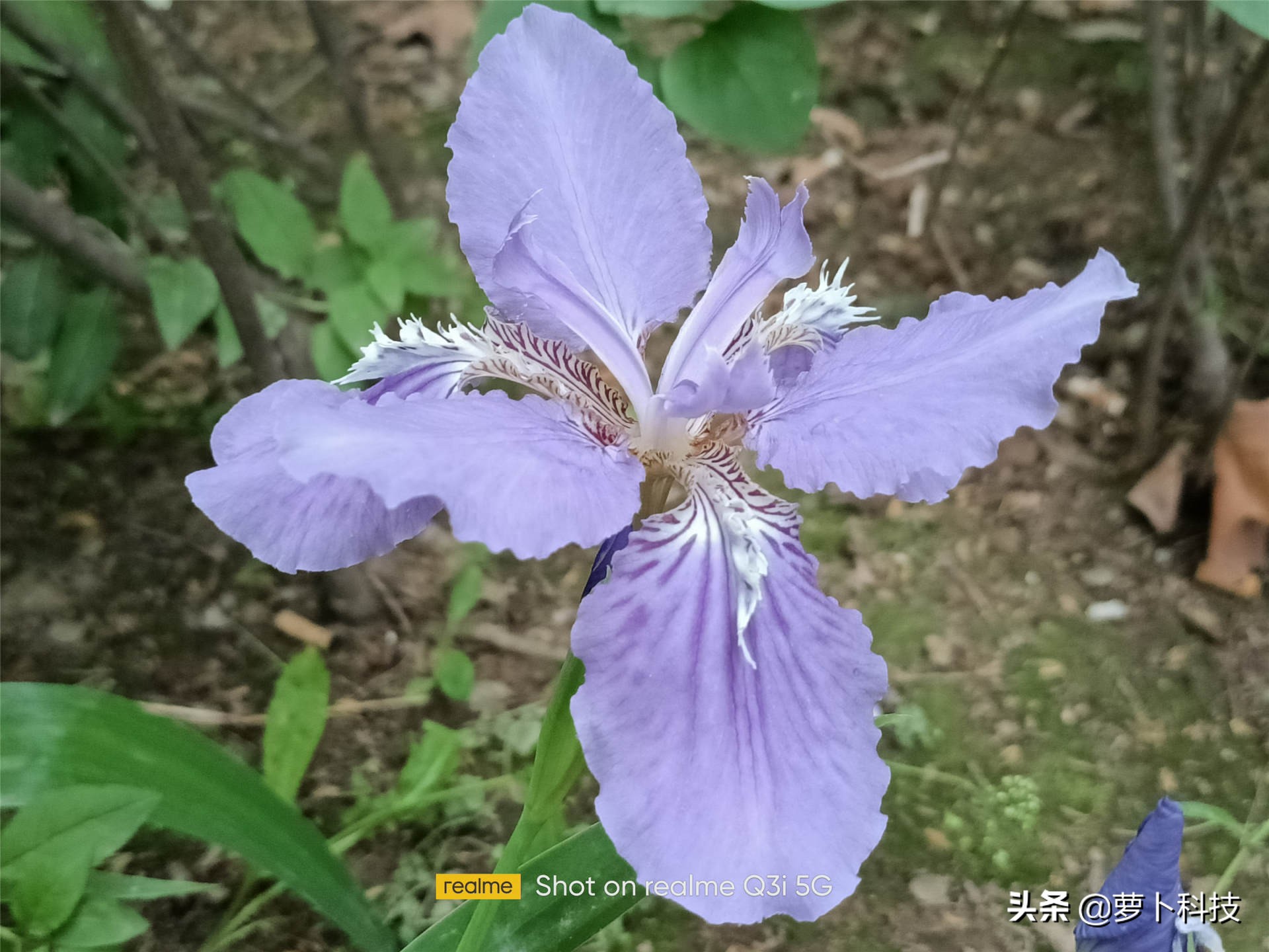 真我q3实测性能,真我q3i手机评测