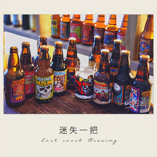 精酿啤酒哪个口感最好,入门到入坑10款进口精酿啤酒推荐