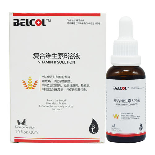 铲屎官该如何“拯救”猫咪乱尿,猫咪铲屎官的正确方法