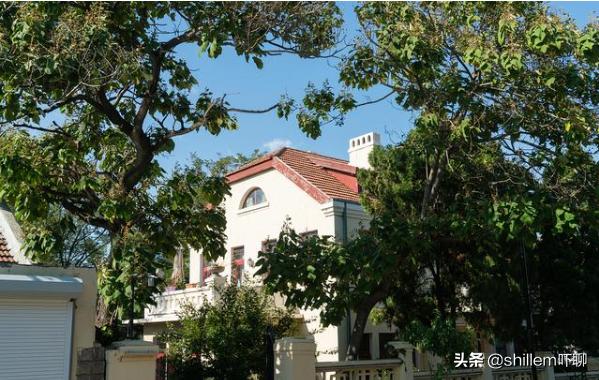 济南和青岛综合实力哪个强,济南青岛城区比较谁更强