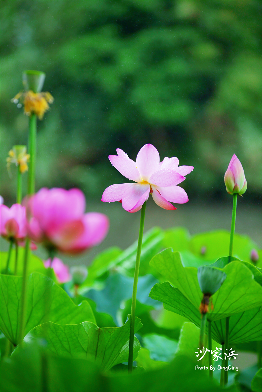 苏州红色革命旅游景点图片,苏州红色革命景点介绍视频