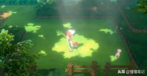 精灵宝可梦进化次数最多,精灵宝可梦最适合拥有的经历