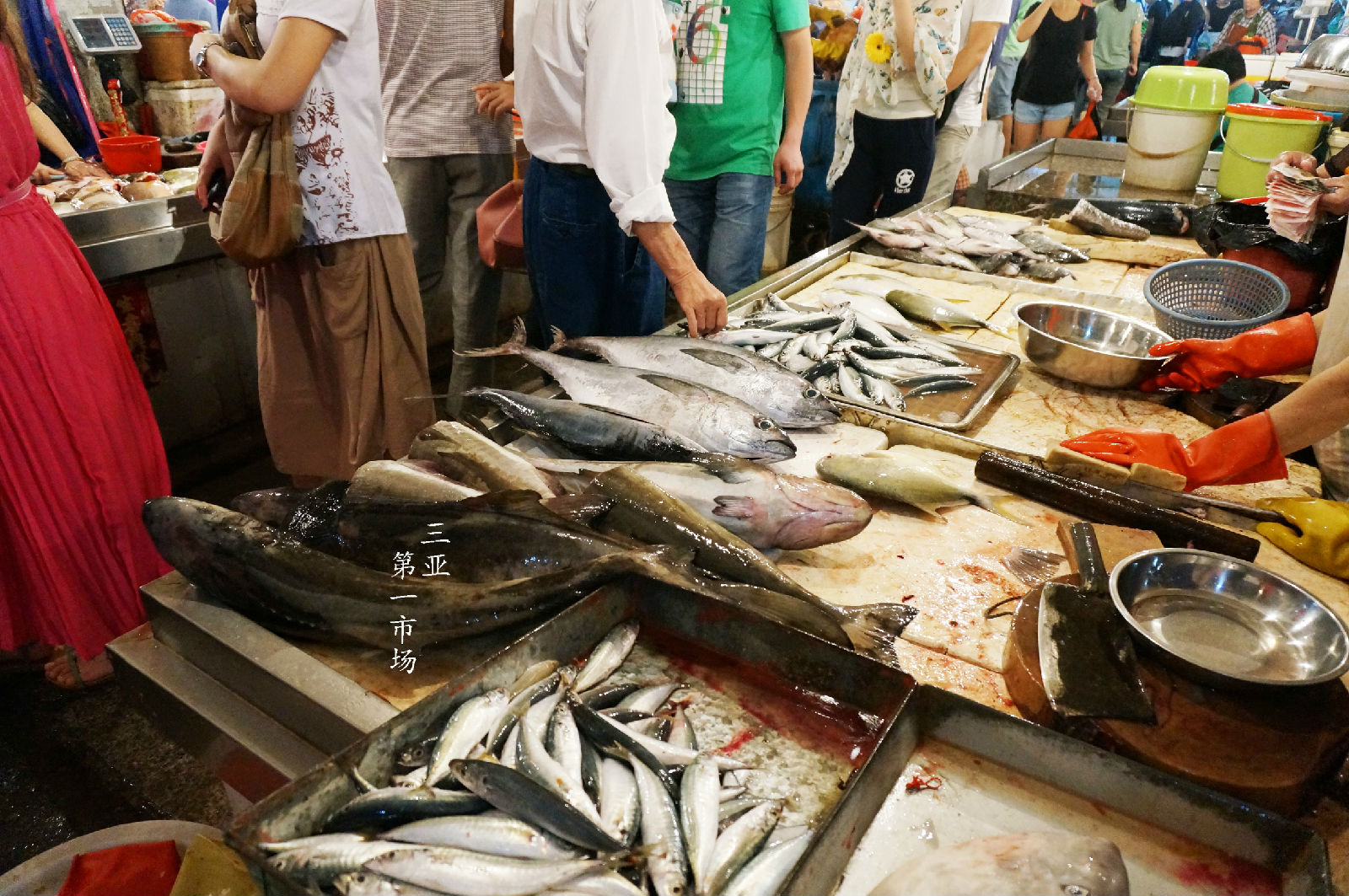 海南自驾租车推荐车型最新,海南517驿站租车价格表