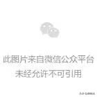 这旗舰店真是很粉嫩呢！甜蜜的复杂性和极简的极简主义的微妙平衡