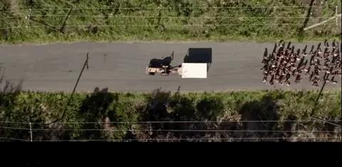 好怪的片，R级画面，S级泪点