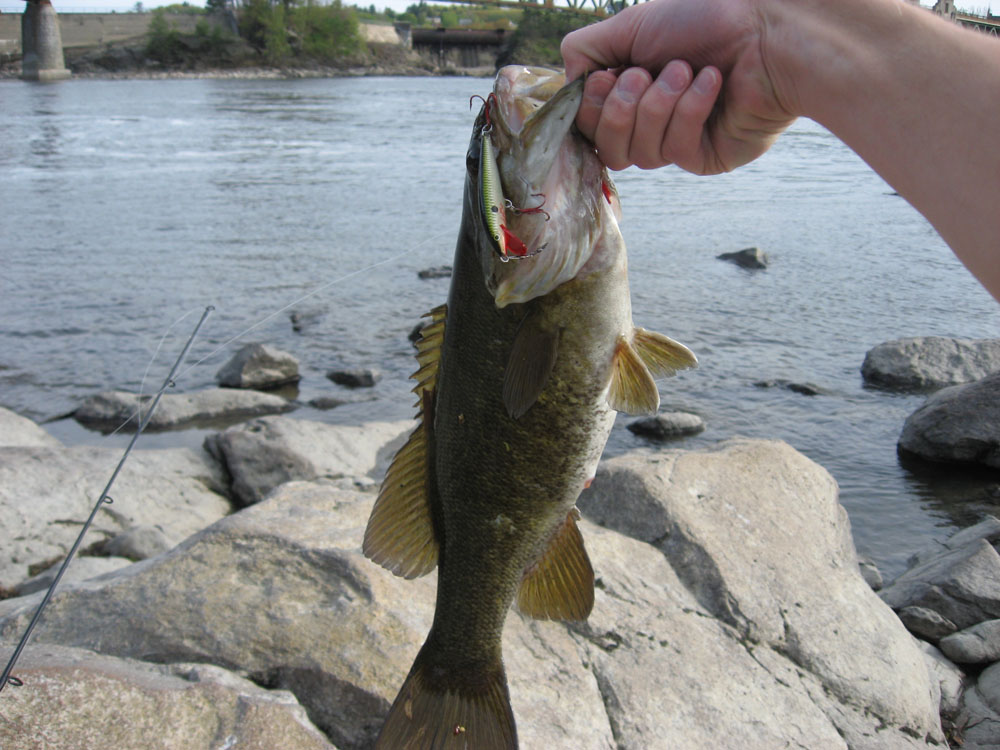 钓鱼人不得不看的文章，你是这样的人吗？