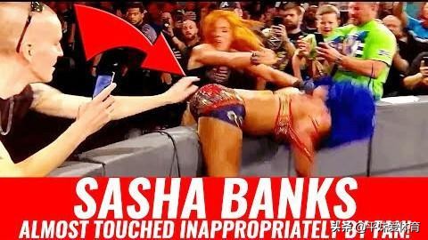 wwe莎夏班克斯现状,wwe莎夏班克斯狂揍贝莉