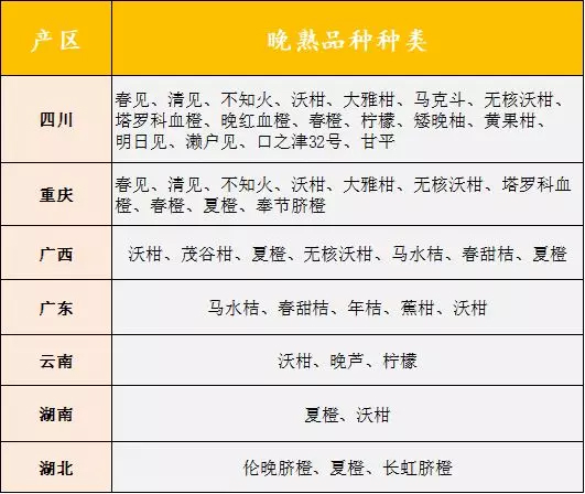 沃柑今年产量如何,沃柑的发展前景如何