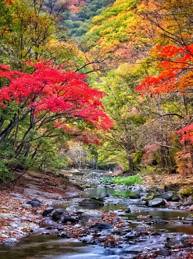 浅谈全国各省份,辽宁省本溪市地域分析