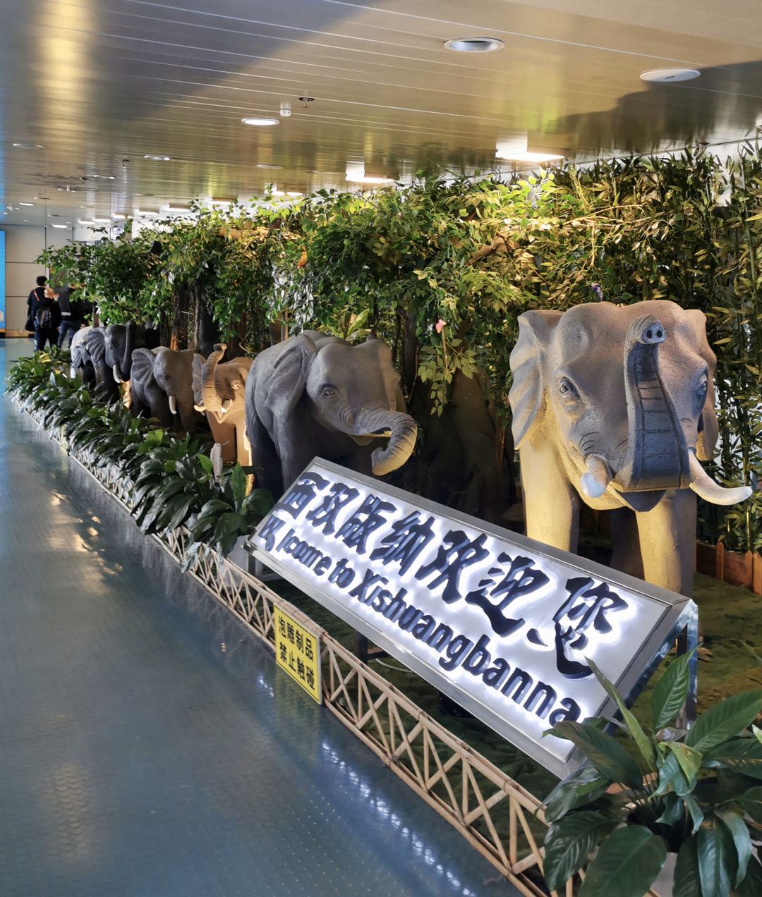 玩遍全云南,玩遍云南