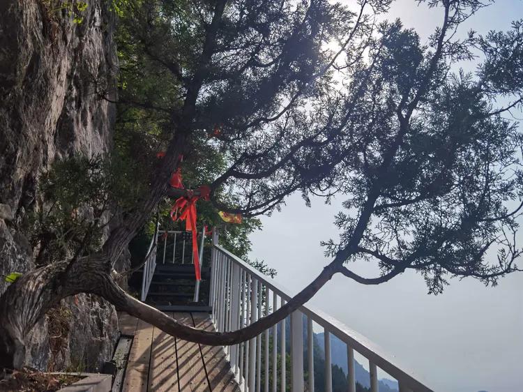 济南灵岩大佛山景区,济南灵岩寺大佛风景区