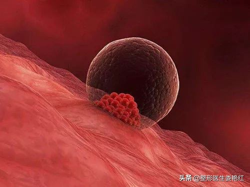 疫情下的情人节你选择怎么过,疫情下的情人节如何度过