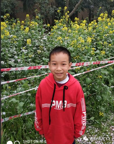 小飞象和猫头鹰影评,电影小飞象观后感影评