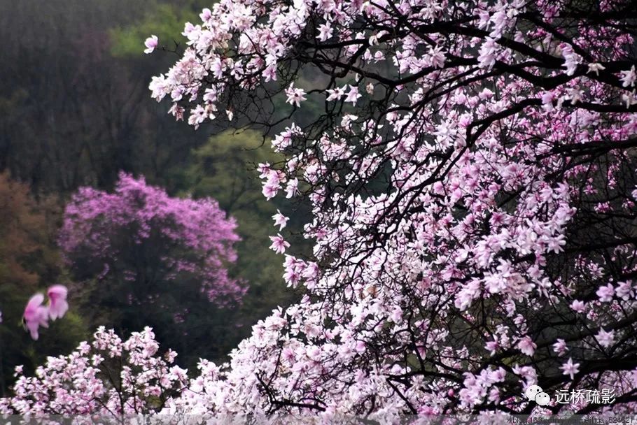 药王谷里觅旧迹（原图文）