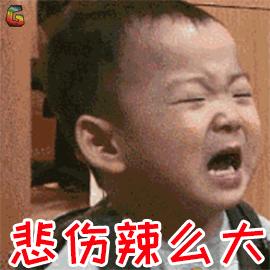 3条狗啃坏“宝马”,1万多元才能修好!狗的主人找不到,保险也不赔,咋办?