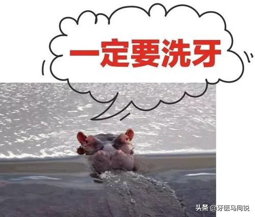 牙齿上抠出来的泥垢很臭怎么办,牙齿上能抠出白色的泥怎么解决