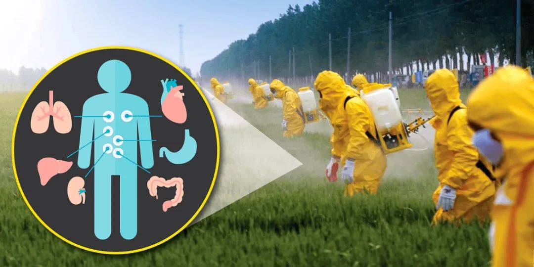 草甘膦的副作用及危害,草甘膦长期小剂量服用有什么危害