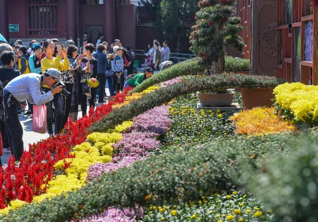 洛阳国庆两日游,国庆畅玩攻略