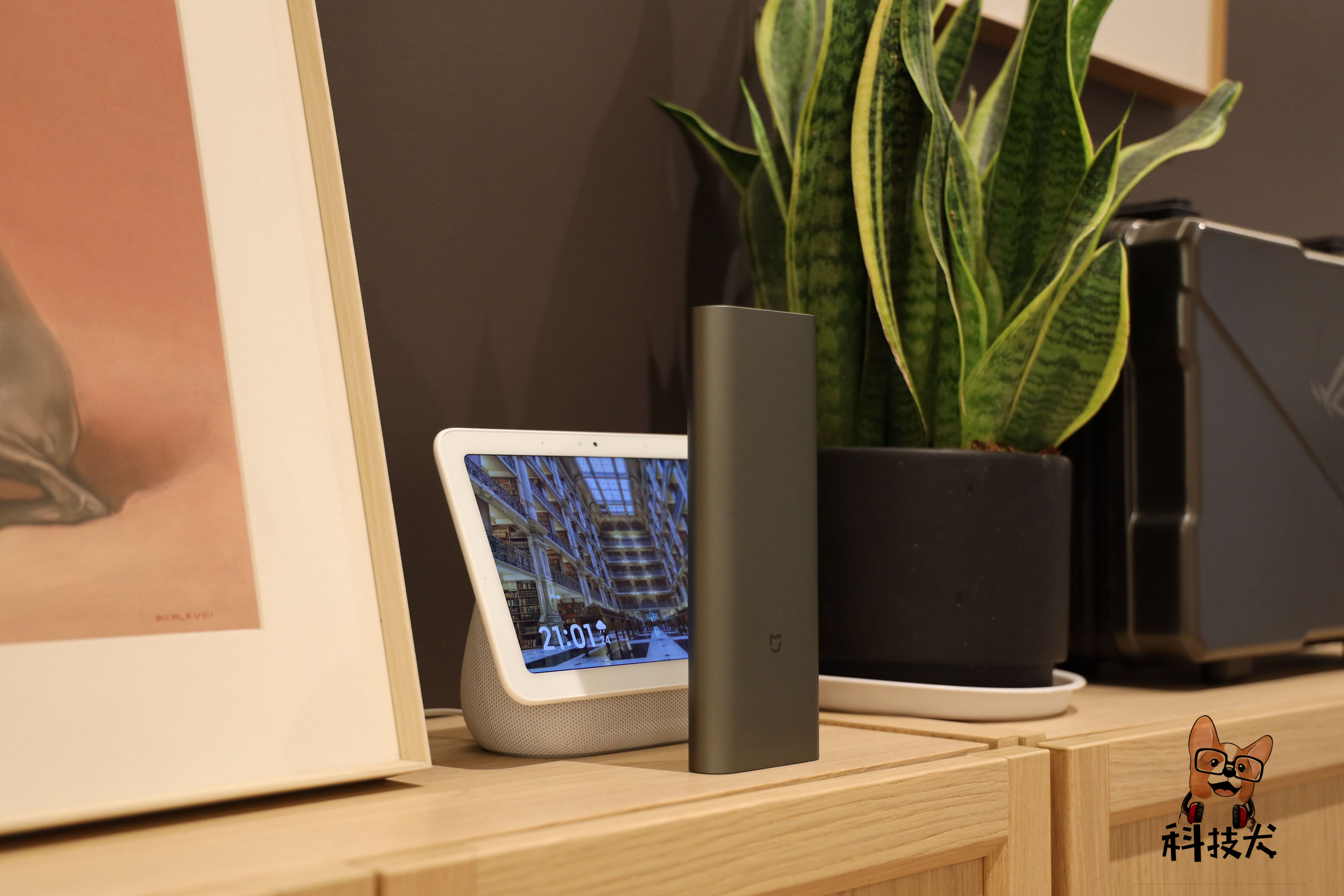 科技犬最好的品种,小米科技狗