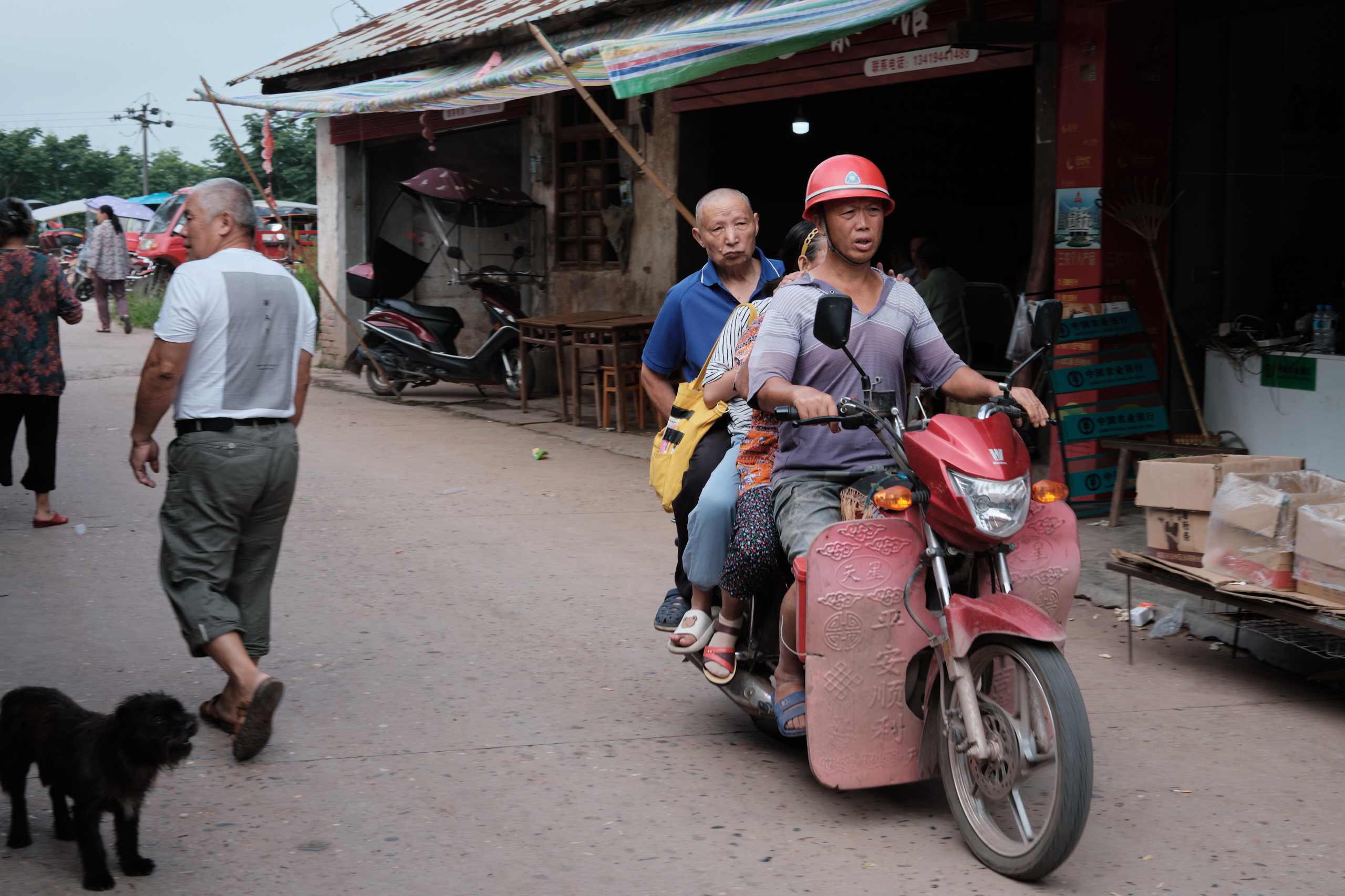 井研县宝五镇五龙场两次兴场纪实