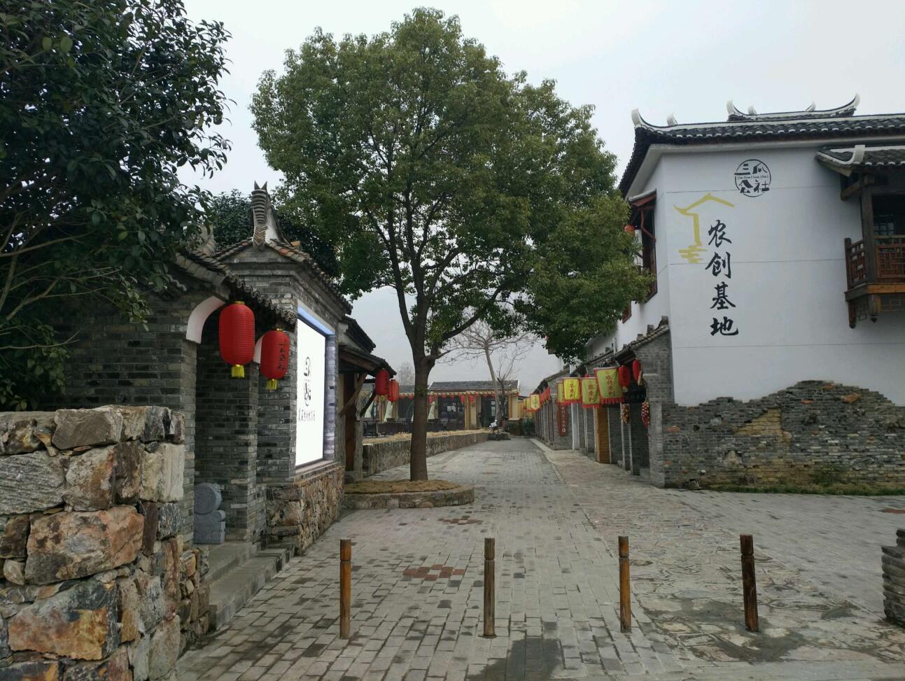 合肥四季花海公园属于几a级景区,合肥滨湖四季花海怎么坐车去