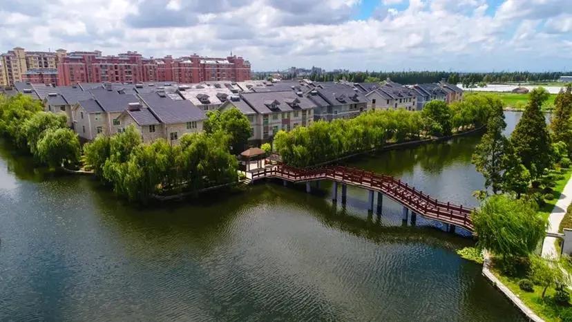 厉害了浙江嘉善00后,实力嘉善