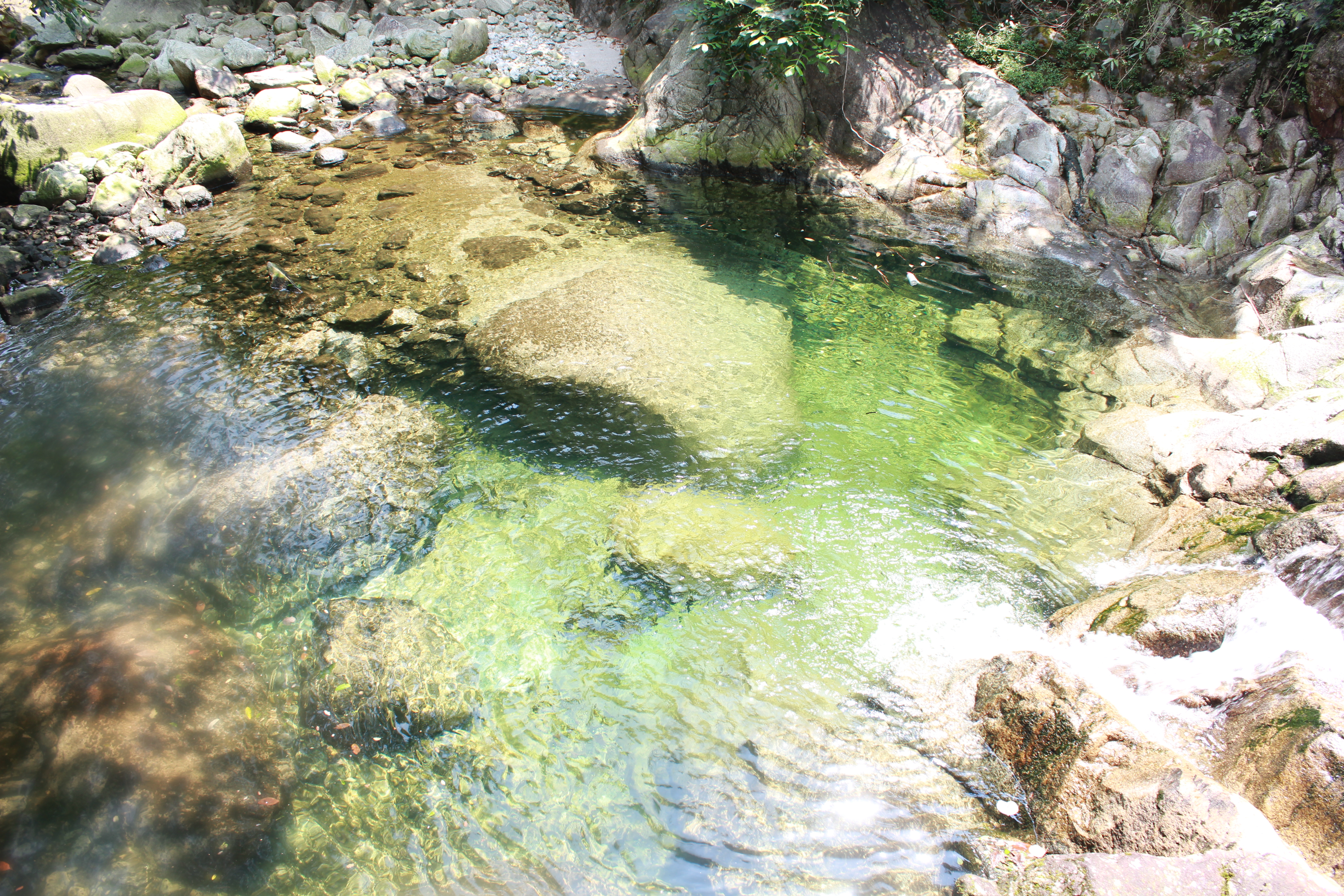 武汉周边避暑胜地｜端午武汉至咸宁九宫山2日自驾亲子游路线分享