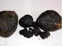 关于国家毒品方面的知识,禁毒知识国家规定管制的还有哪些