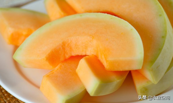 哈密瓜果脯蜜饯制作方法,不甜的哈密瓜怎么处理