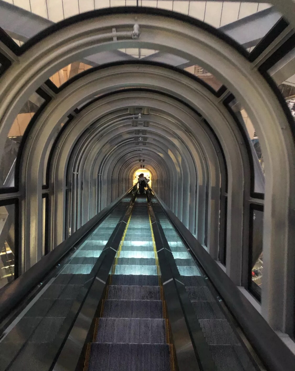 妯辫姳涔嬫梾澶ч槳,鏃ユ湰妯辫姳涔嬫梾