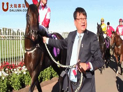 今天是新西兰打吡赛马日，内蒙古莱德马业“蒙古可汗”曾是冠军