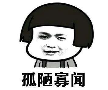 宝可梦qq群聊机器人,精灵宝可梦机器人