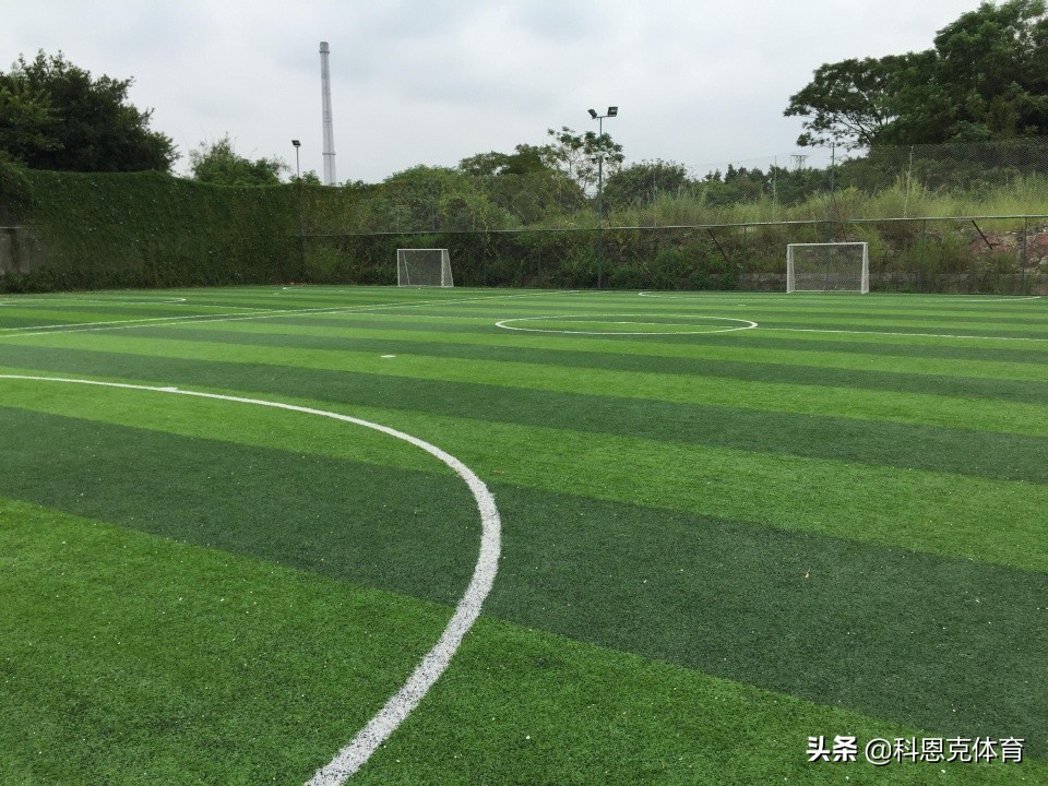 人造草坪草皮型号大全图,人造草坪哪种草皮最好