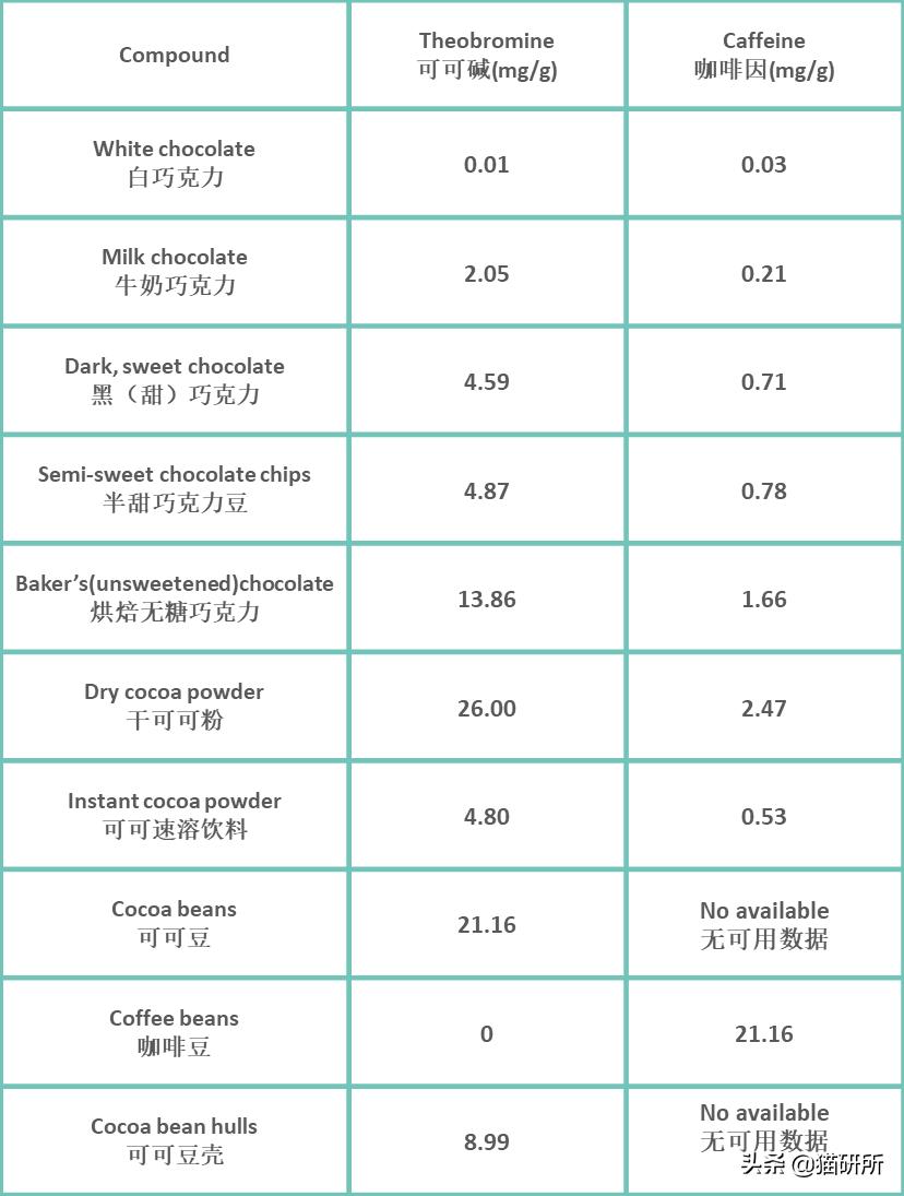 猫咪误食巧克力酱多久会中毒,猫咪不小心偷吃了一点点巧克力