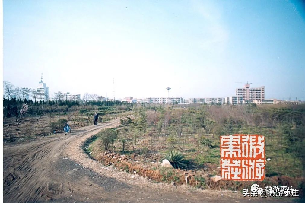 在这些照片中看到市中区的四十五年（下）