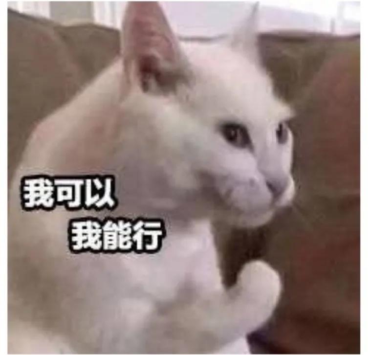 如果想睡却睡不着怎么办,失眠越想睡越睡不着