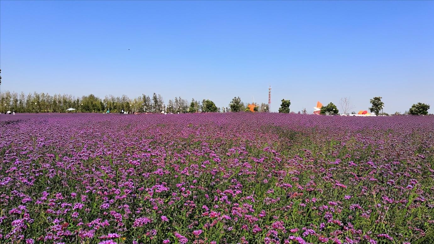 江苏省盐城市有哪些县和区,浅谈全国各省份
