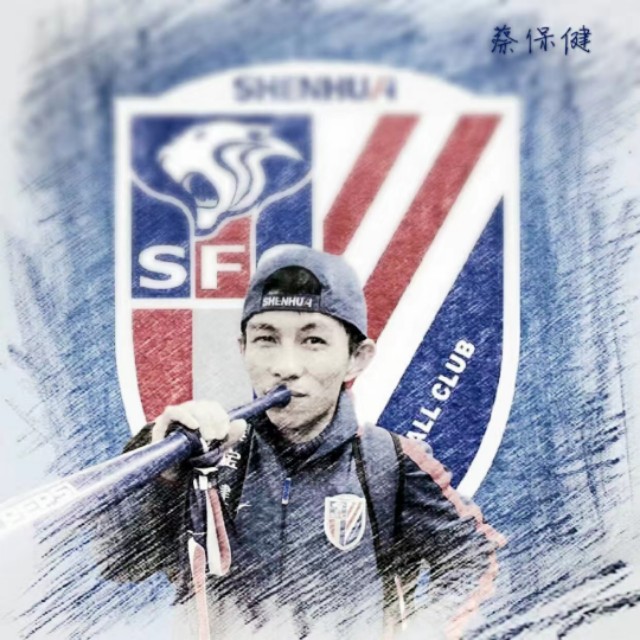 申花球迷蔡宝健个人简历,申花球迷蔡宝健被打原视频