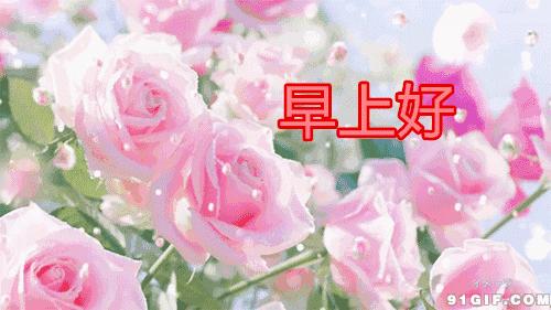 最新的早上好问候语句图片,微信早上好问候祝福语图片大全