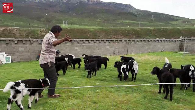 海拔4000米干工程,海拔4000米的施工队